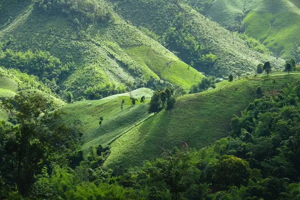 Paisaje Montañas Verdes Paisajes Montaña Asia — Foto de Stock