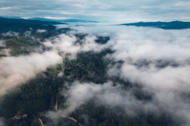 Sabah sisi ve orman manzaralı dağlar.