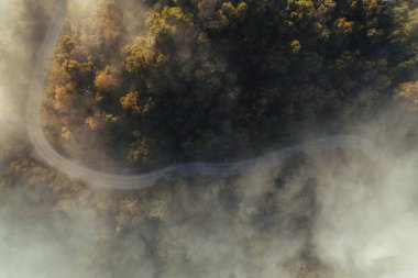 Yazın dağlarda sisli gün doğumu, ormanda gün doğumu ve sabah sisi.