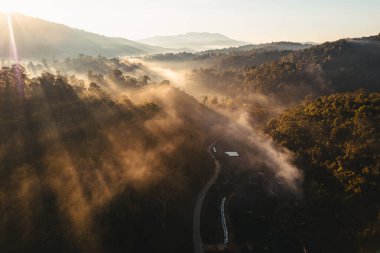 Yazın dağlarda sisli gün doğumu, ormanda gün doğumu ve sabah sisi.
