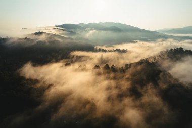 Yazın dağlarda sisli gün doğumu, ormanda gün doğumu ve sabah sisi.