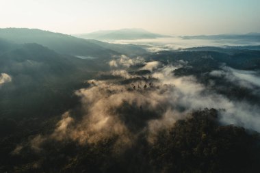Yazın dağlarda sisli gün doğumu, ormanda gün doğumu ve sabah sisi.