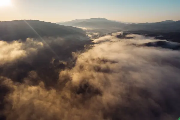 Morning fog in the forest before spring,Fog and morning light from a drone