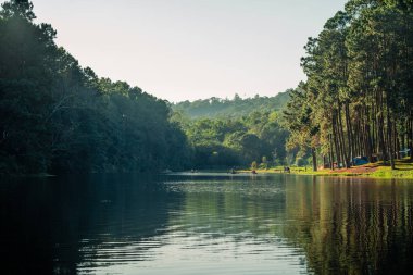 Doğa ağaçları ve Pangung Gölü nehri, doğa konsepti geçmişi