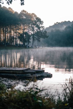 Rezervuarın atmosferi ve sabahın erken saatlerinde çam ağaçları ve sudaki ahşap sallar..