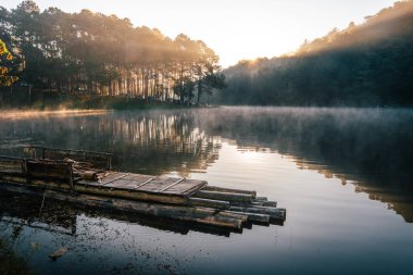 Rezervuarın atmosferi ve sabahın erken saatlerinde çam ağaçları ve sudaki ahşap sallar..
