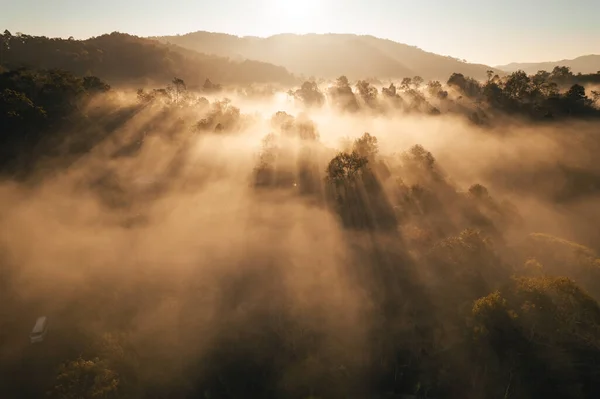 Aerial view of forest and mountain in fog ,View of fog and morning light with mountains in summer