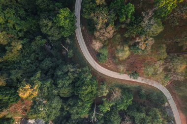 Yazın yol ve ağaçlar yukarıdan