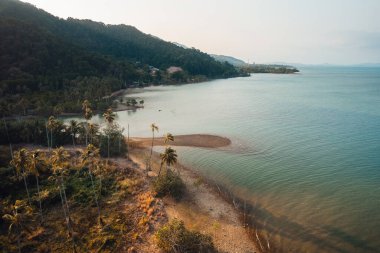 Akşam üzeri turuncu plaj ve hindistan cevizi ağaçları oluşur.