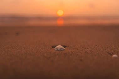 Kumsalda gün batımı ve okyanus dalgaları ve turuncu gökyüzü