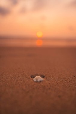 Kumsalda gün batımı ve okyanus dalgaları ve turuncu gökyüzü