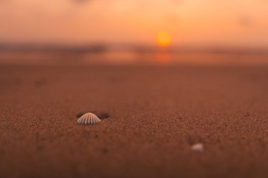 Kumsalda gün batımı ve okyanus dalgaları ve turuncu gökyüzü