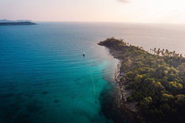 Tropik ada ve palmiye ağaçları, yazın kuş bakışı.