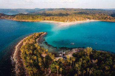 Tropik ada ve palmiye ağaçları, yazın kuş bakışı.