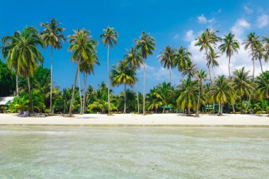 Yaz günü bir adada kumsal ve hindistan cevizi ağaçları