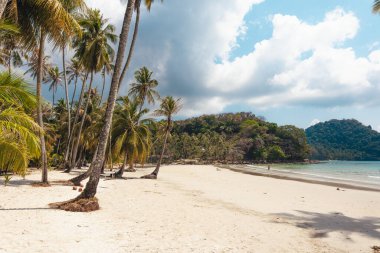 Yaz günü bir adada kumsal ve hindistan cevizi ağaçları