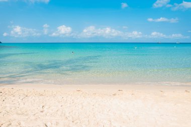 Adadaki sahilde su çok berrak.