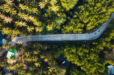  Adadaki yol ve hindistan cevizi ağaçlarının havadan görünüşü