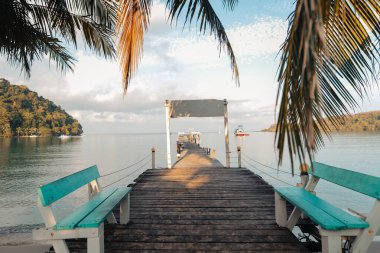 Seyahat adası, palmiye ağacı plajları ve adadaki dinlenme alanları