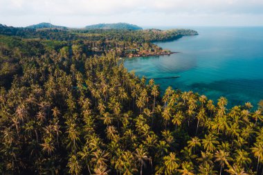 Deniz Burnu, Hindistan cevizi ağacı bahçesi, adanın deniz kenarında, yüksek açı manzaralı.