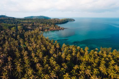 Deniz Burnu, Hindistan cevizi ağacı bahçesi, adanın deniz kenarında, yüksek açı manzaralı.