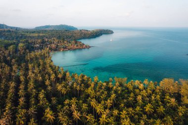 Deniz Burnu, Hindistan cevizi ağacı bahçesi, adanın deniz kenarında, yüksek açı manzaralı.