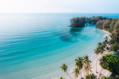 Sabahları sakin bir adada kumsal ve hindistan cevizi ağaçları, hava manzarası...