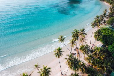 Sabahları sakin bir adada kumsal ve hindistan cevizi ağaçları, hava manzarası...