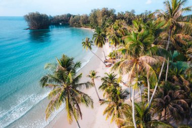 Sabahları sakin bir adada kumsal ve hindistan cevizi ağaçları, hava manzarası...