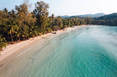 Sabahları sakin bir adada kumsal ve hindistan cevizi ağaçları, hava manzarası...