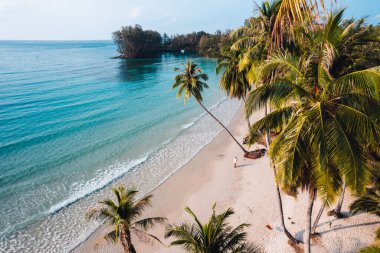 Sabahları sakin bir adada kumsal ve hindistan cevizi ağaçları, hava manzarası...
