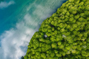 Deniz ve mangrov ağaçları, yüksek açı manzarası, koh kood