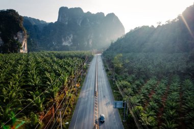 Düz yol, palmiye ağaçları ve sabahları kayalık dağlar.