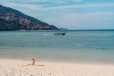 Sahilde ve gün batımında insanlar oturup manzarayı izlemeye gelir..