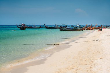 Güzel plajlar ve Koh Lipe 'deki berrak mavi sular.
