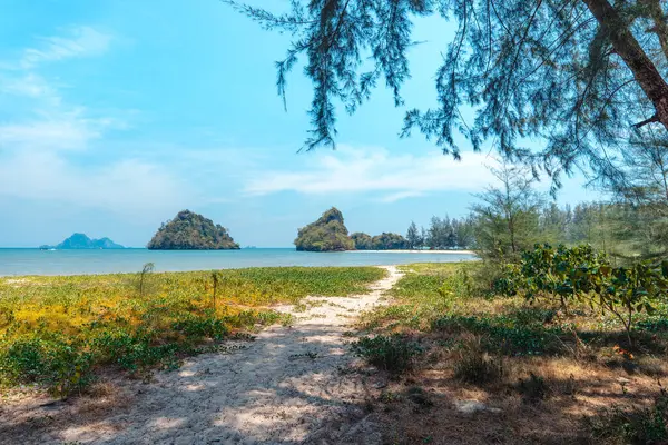 Yaz günü deniz sahili manzarası çimenler ve Yengeç Denizi 'ndeki küçük adalar.