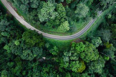 Hava manzaralı güzel kavis yolu yağmur mevsiminde yeşil orman üzerinde