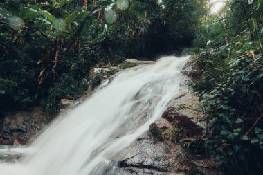 Yağmur Mevsimi Ormanı 'ndaki Şelale, Yağmur Mevsimi Ormanı' ndaki Şelale 'yi ziyaret et