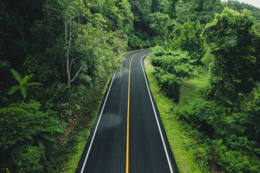 Yeşil orman yolu, yeşil seyahat ve ulaşım, Dağ yolu.