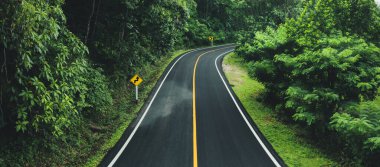 Yeşil orman yolu, yeşil seyahat ve ulaşım, Dağ yolu.