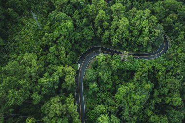 Yeşil ormandaki dolambaçlı yolun yüksek açılı görüntüsü, yeşil ulaşım ve doğa koruma, yüksek açılı orman yolu.
