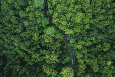 Yeşil ormandaki dolambaçlı yolun yüksek açılı görüntüsü, yeşil ulaşım ve doğa koruma, yüksek açılı orman yolu.
