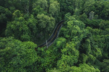 Yeşil ormandaki dolambaçlı yolun yüksek açılı görüntüsü, yeşil ulaşım ve doğa koruma, yüksek açılı orman yolu.