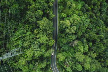Yeşil ormanda otoyolda giden araba ve kamyonun hava görüntüsü, yollar ve yeşil ormanların insansız hava aracı görüntüleri