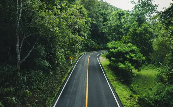 Yeşil orman yolu, yeşil seyahat ve ulaşım, Dağ yolu.