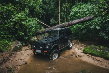 Ormandaki bir derede off-road aracı, arabayla ormana gidiyor.