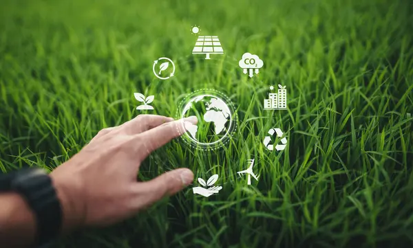 Doğal çimen arka planında el ele tutuşan dünya simgesi.