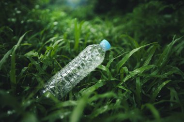 Geri dönüşüm konsepti, plastik su şişeleri koyu yeşil çimenler üzerinde