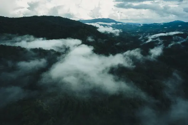 stock image Aerial view of dark green forest,natural ecosystem of rainforest concept of natural forest conservation 