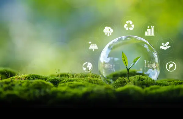 Çevre koruma kavramı, kabarcıklar küçük ağaçları ve büyümelerini korur ve baloncukların etrafında yüzen ikonları korur..